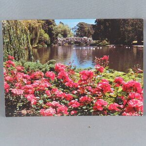 Vintage Postcard - Beacon Hill Park Victoria Canada - Wright Everytime